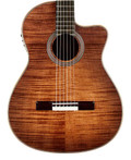 Cordoba Fusion 12 Crossover Electro Acoustic in Cinnamon Burst - CFUCROSCNX-2.jpg