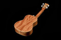 Cordoba 15C Concert Ukulele in Catalonia Green - CUK15CCG-9.jpg