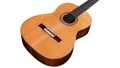 Cordoba Master Friederich Classical Guitar in Cedar - CMAFRIERW1-3.jpg