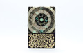 Instruo Modern Biology Pocket Scion Biofeedback Instrument - POCKET-SCION (1).jpg