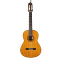 Yamaha CG142C Classical Guitar in Gloss Natural - CG142C (3).jpg