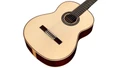 Cordoba Luthier C12 Acoustic Guitar in Spruce - CLUC12SP-4.jpg