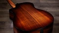 Taylor 224ce-K DLX Electro Acoustic in Koa - 224CE-KDLX-2-11.jpg