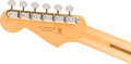 B Stock : Fender Player II Stratocaster Rosewood Fingerboard Birch Green - 004 - 0140510565_fen_ins_hbk_1_nr.jpg
