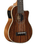 Alvarez Artist Series AU90SCE Soprano Electro Ukulele - Alvarez Artist Series AU90SCE Soprano Electro Ukulele cropped.jpg