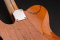Fender Limited Edition Custom Shop Seymour Duncan Tele-Gib 50th Anniversary Telecaster - Seymour-Duncan-Guitar-50th-TeleGib-Lifestyle-4.jpg