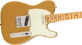 Fender 75th Anniversary Player II Telecaster Electric Guitar in Aztec Gold - 0146552578-Angle.jpg