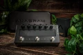 Darkglass Anagram Limited Edition Guitar Essentials Multi-FX Pedal - DG-ANAGRAM-AMC (1).jpg