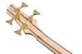 Ibanez SR300EDX 4 String Bass Guitar in Frozen Gold Matte - SR300EDX_FDM_1P_04_K.jpg
