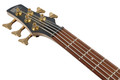 Ibanez SR305EDX 5 String Bass Guitar in Frozen Gold Matte - SR305EDX_FDM_1P_04_J.jpg