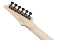 Ibanez RG550 Genesis Electric Guitar in Black Flat - RG550_BKF_00_04_K.jpg