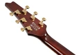 Ibanez IC420 Iceman Electric Guitar in Gold - IC420_GD_4L_02_K.jpg