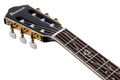 Ibanez TOD10N Tim Henson Tree of Death Thinline Acoustic Guitar in Black Burst Fade Low Gloss - TOD20FMN_BFL_5B_01_J.jpg