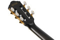 Ibanez TOD10N Tim Henson Tree of Death Thinline Acoustic Guitar in Black Burst Fade Low Gloss - TOD20FMN_BFL_5B_01_K.jpg