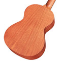 Cordoba 20TM Tenor Ukulele - CUK20TM 5.jpg