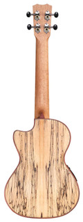 Cordoba 24T-CE Spruce Tenor Electro Ukulele - CUK24CESPC 2.jpg