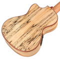 Cordoba 24T-CE Spruce Tenor Electro Ukulele - CUK24CESPC 5.jpg