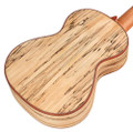 Cordoba 24T Spruce Tenor Ukulele - CUK24TSP 5.jpg