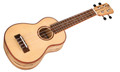 Cordoba 24S Spruce Soprano Ukulele - CUK24SSP 4.jpg