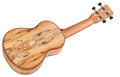 Cordoba 24S Spruce Soprano Ukulele - CUK24SSP 5.jpg