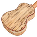 Cordoba 24C Spruce Concert Ukulele - CUK24CSP 5.jpg