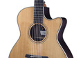 Furch Green Gc-TR a Acoustic Guitar - Green-Gc-TR-5.jpg