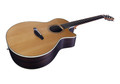 Furch Green Gc-TR a Acoustic Guitar - Green-Gc-TR-12.jpg