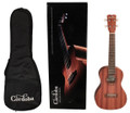 Cordoba UP100 Concert Ukulele Pack - CUKUP10PK.jpg