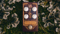 Mad Professor Royal Blue Overdrive Hand Wired - Mad Professor Royal Blue Overdrive Hand Wired 2.jpg