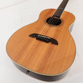 Second Hand Alvarez AP70 with Gig Bag 388 - SH-122-1388 (5).jpg
