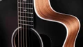 Taylor Sunset Blvd 214ce Eclipse Burst Special Edition Electro Acoustic Guitar - Taylor-Sunset-Blvd-214ce-Eclipse-Burst-2201126026-Gallery-06-2026.jpg