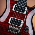 PRS Limited Edition Custom 24 “Birds of a Feather” Electric Guitar in Blood Red - 1176943T-Pickups.jpg