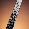 PRS Limited Edition Custom 24 “Birds of a Feather” Electric Guitar in Honey Gold - 1176943U-Inlay.jpg