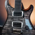 PRS Limited Edition Custom 24 “Birds of a Feather” Electric Guitar in Charcoal Microburst - 1176943S-Pickups.jpg