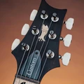 PRS Limited Edition Custom 24 “Birds of a Feather” Electric Guitar in Charcoal Microburst - 1176943S-Headstock.jpg