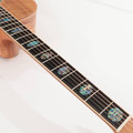 Second Hand Cole Clark Angel 3 AN3EC-BLBL Tasmanian Blackwood Acoustic Guitar 629 - SH-114-2629 (9).jpg
