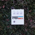 1981 Inventions DRV2 Distortion Pedal - drvgrass.jpg