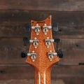 PRS Wood Library Custom 24-08 10-Top Electric Guitar in Arctic Blue - 0422308 (6).JPG