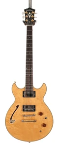 Second Hand Washburn HB-50 Birdseye Maple MIJ 040 - SH-168-0040 (3).jpg