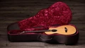 B Stock : Taylor 212ce-N Plus Grand Concert Nylon Acoustic Guitar - 001 - Taylor-212ce-N Plus-2203214001-gallery-01-2024.jpg