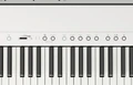 Roland FP-40 Digital Piano In White - FP-40-WH (10).jpg