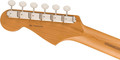 Fender American Professional Classic Stratocaster in Daphne Blue, Roasted Maple Fretboard - 0174942304_fen_ins_hbk_1_nr.jpg