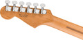Fender American Ultra II HSS Stratocaster in Gold Dust, Roasted Maple Fretboard - 0179152771_fen_ins_hbk_1_nr.jpg