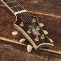 PRS Private Stock McCarty Semi-hollow Electric Guitar in Sage Glow - 0388766 (18).JPG