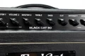 B Stock : Bad Cat Mod Shop Black Cat 30 Valve Amp Head - 012 - BCMS_30_head_panel.jpg