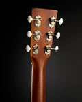 Martin GPC-16E Acoustic Guitar - GPC-16E_GLAM 8.jpg