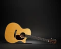 Martin GPC-16E Acoustic Guitar - GPC-16E_GLAM 9.jpg