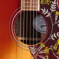 Gibson Hummingbird Standard Rosewood Electro Acoustic Guitar with Baggs HiFi DNA in Rosewood Burst - MCSSHBRWHFRB_Preamp-1200x1200-28e5ebb.jpg