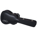 B Stock : Epiphone Inspired By Gibson Custom 1963 Dove Reissue In Natural - 003 - ECDVR3NANH1_9_Case.jpg