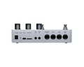Polyend Loop 8-Track Performance Looper - P-LOOP-4.jpg